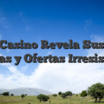 Vinyl Casino Revela Sus Joyas Ocultas y Ofertas Irresistibles