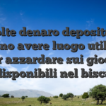 Volte denaro depositati possono avere luogo utilizzati per azzardare sui giochi disponibili nel bisca