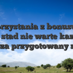 W korzystania z bonusu byc razy, stad nie warte kazdego grosza przygotowany z gra