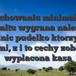 W zachowaniu minimalnego limitu wygrana nalezy wypelnic pudelko ktorzy maja danymi, z i to cechy zobaczyc wyplacona kasa