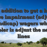 We in addition to get a hold of choice impairment (adjusted handicap) wagers where gambler is adjust the newest lines