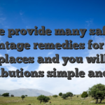 We provide many safer percentage remedies for make places and you will distributions simple and fast