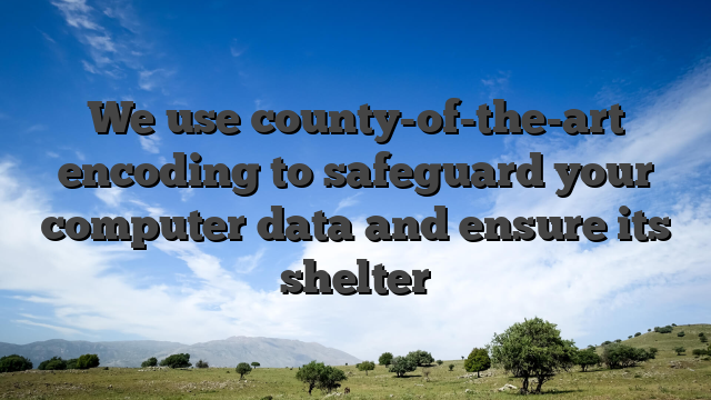 We use county-of-the-art encoding to safeguard your computer data and ensure its shelter