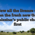 We view all the license count right on the fresh new Gaming Commission’s public check in first