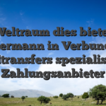 Weltraum dies bietet Jedermann in Verbunden Geldtransfers spezialisierte Zahlungsanbieter