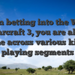 When betting into the World of warcraft 3, you are able to come across various kinds playing segments