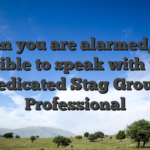 When you are alarmed, it is possible to speak with their dedicated Stag Group Professional