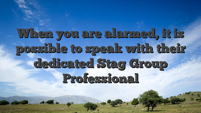 When you are alarmed, it is possible to speak with their dedicated Stag Group Professional