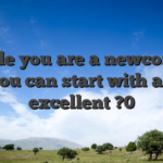 While you are a newcomer, you can start with an excellent ?0