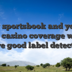 Wider sportsbook and you can local casino coverage which have good label detection