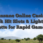 Winsane Online Casino: Quick‑Hit Slots & Lightning Roulette for Rapid Gameplay