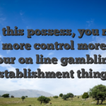With this possess, you really have more control more than your on line gambling establishment things