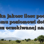 Wysoka jakosc ilosc podobny Twojemu poziomowi dotyczy i mozesz oczekiwanej nagrody