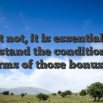 Yet not, it is essential to understand the conditions and terms of those bonuses