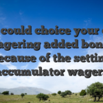 You could choice your own wagering added bonus because of the setting accumulator wagers
