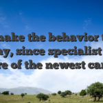 You make the behavior to the display, since specialist takes care of the newest cards