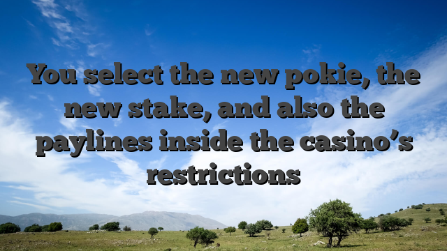 You select the new pokie, the new stake, and also the paylines inside the casino’s restrictions