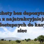 Zachety bez depozytu sa jedna z najatrakcyjniejszych ofert dostepnych do kasynach siec