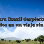 Zinkra Brazil despierta tus sentidos en un viaje sin igual
