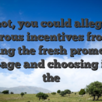 not, you could allege numerous incentives from the opening the fresh promotions web page and choosing inside the