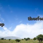 Ανακαλύψτε την τύχη σας με το thorfortune app και ζήστε ατέλειωτες περιπέτειες