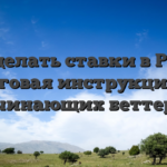 Как делать ставки в Pin Up: пошаговая инструкция для начинающих беттеров