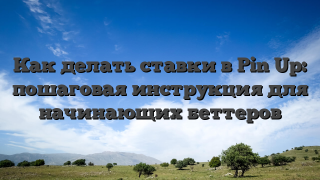 Как делать ставки в Pin Up: пошаговая инструкция для начинающих беттеров