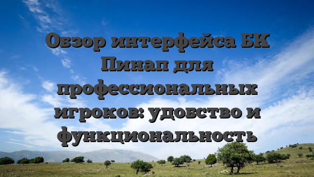Обзор интерфейса БК Пинап для профессиональных игроков: удобство и функциональность