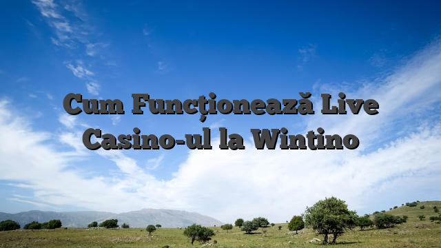 Cum Funcționează Live Casino-ul la Wintino