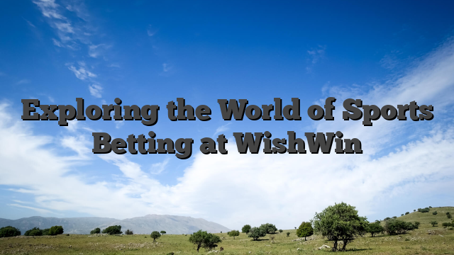 Exploring the World of Sports Betting at WishWin