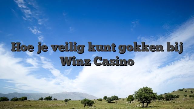 Hoe je veilig kunt gokken bij Winz Casino
