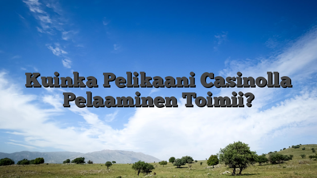 Kuinka Pelikaani Casinolla Pelaaminen Toimii?
