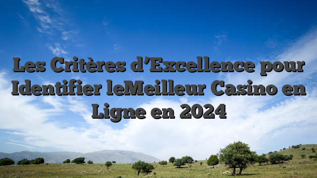Les Critères d’Excellence pour Identifier leMeilleur Casino en Ligne en 2024