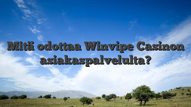 Mitä odottaa Winvipe Casinon asiakaspalvelulta?
