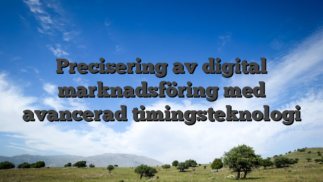 Precisering av digital marknadsföring med avancerad timingsteknologi