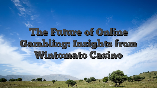 The Future of Online Gambling: Insights from Wintomato Casino
