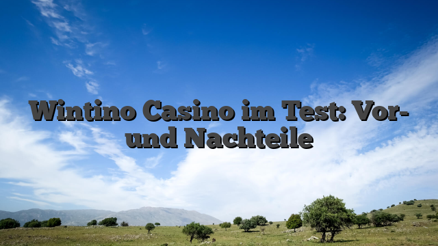 Wintino Casino im Test: Vor- und Nachteile