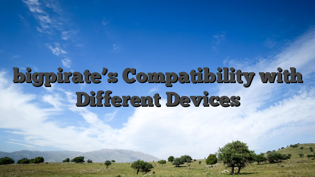 bigpirate’s Compatibility with Different Devices