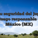 B Win: seguridad del jugador y juego responsable en México (MX)
