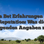 Dafa Bet Erfahrungen und Reputation: Was die vorliegenden Angaben zeigen
