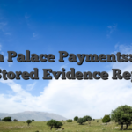 Dream Palace Payments: What the Stored Evidence Reports
