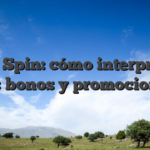 Hell Spin: cómo interpretar sus bonos y promociones