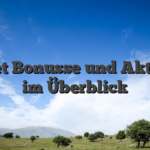 Ice Bet Bonusse und Aktionen im Überblick