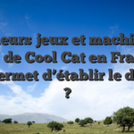 Meilleurs jeux et machines à sous de Cool Cat en France : que permet d’établir le dossier ?
