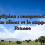 OnlySpins : comprendre le service client et le support en France